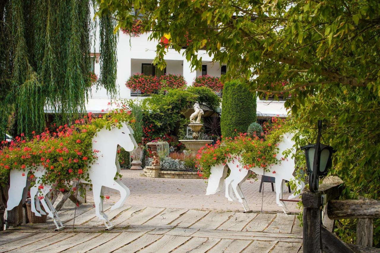 Domeniul Dracula Danes Hotel Ngoại thất bức ảnh